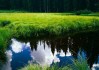 世界举重康复教材视频式教学获基层教练好评，世界级举重冠军