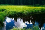 世界举重康复教材视频式教学获基层教练好评，世界级举重冠军
