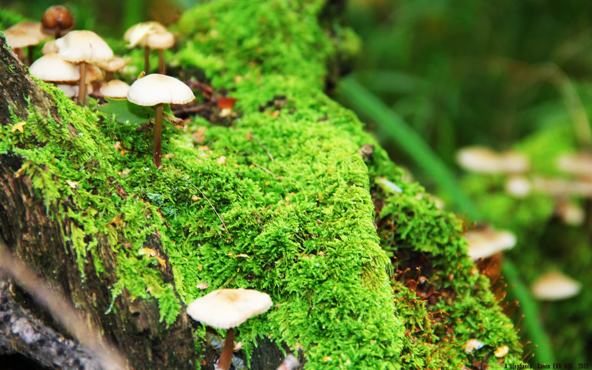 世界保龄球青少年导师赛：名师点拨助力技术提升，世界保龄球联合会